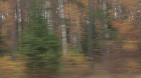 Autumn Fast View Stock Footage 31875905