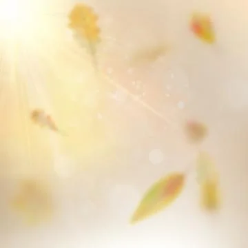 Autumn festive background. EPS 10 vector イラスト素材