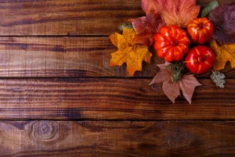 Autumn festive background Stock Photos