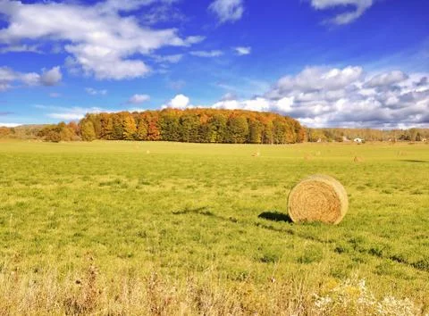 Autumn field Stock Photos