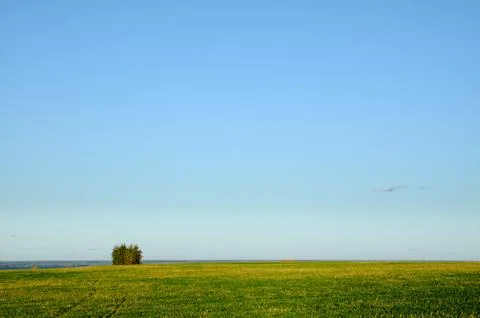 Autumn field Stock Photos