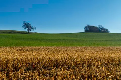 Autumn field Stock Photos