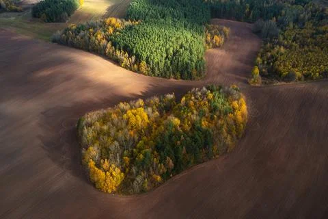 Autumn fields from above Stock Photos