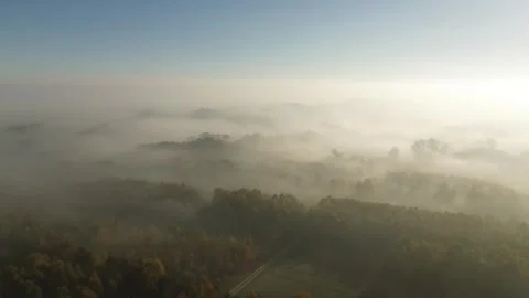 Autumn Fields and Forest Covered in Morning Fog  4K Timelapse Stock Footage 292243953