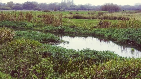 Autumn Fields - Canal Stock Footage 166321844