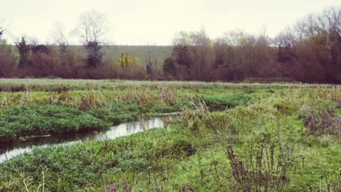 Autumn Fields - Canal Stock Footage 166321891