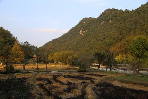 In autumn, the fields in front of the mountain forests have been cut and wr.. Stock Photos
