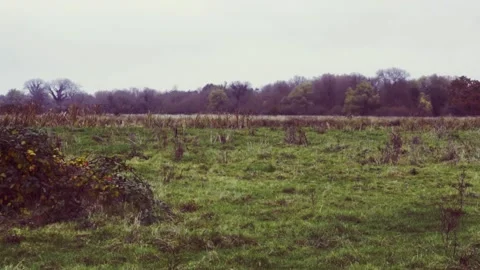 Autumn Fields - Moore Stock Footage 166321851