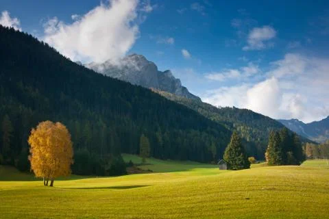 Autumn fields Stock Photos