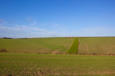 Autumn fields Stock Photos