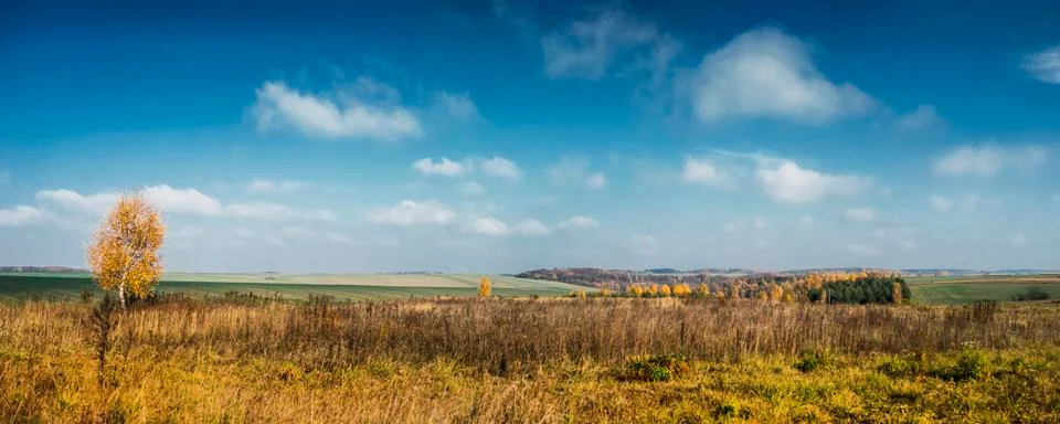 Autumn fields Фото