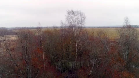 Autumn fields with quadcopter, flying drone Stock Footage 225401047
