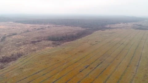 Autumn fields with quadcopter, flying drone Stock Footage 225401184