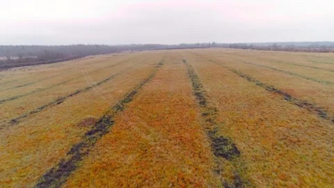 Autumn fields with quadcopter, flying drone Stock Footage 225401290