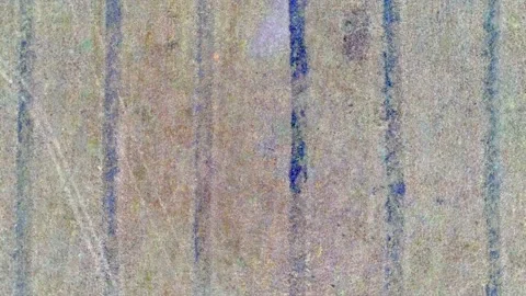 Autumn fields with quadcopter, flying drone Stock Footage 225401399