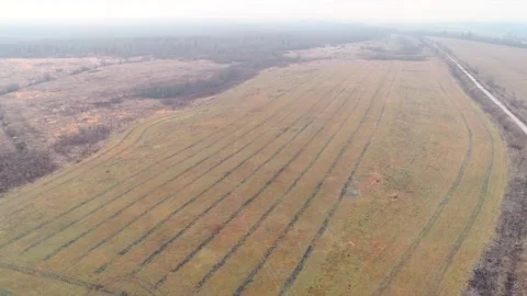 Autumn fields with quadcopter, flying drone Stock Footage 225401442