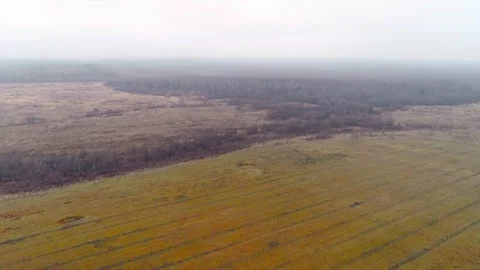Autumn fields with quadcopter, flying drone Stock Footage 225401488