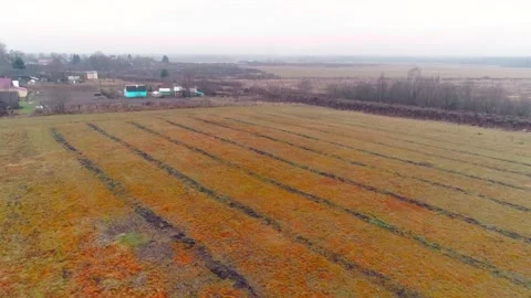 Autumn fields with quadcopter, flying drone Stock Footage 225401612