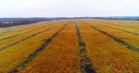 Autumn fields from a quadcopter Stock Footage 169417775