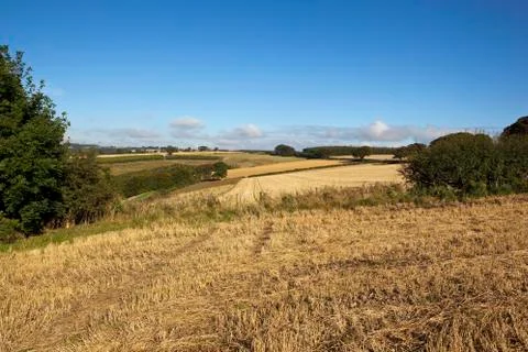 Autumn fieldscape Stock Photos