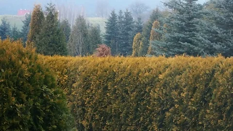 Autumn First Snow 库存影片 77227257