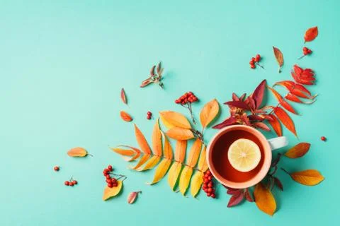 Autumn flat lay composition. Cup of tea, autumn bright leaves on blue background Stock Photos