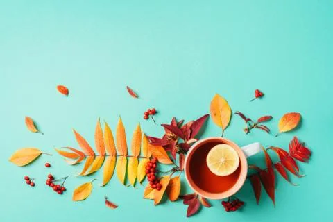 Autumn flat lay composition. Cup of tea, autumn bright leaves on blue background Stock Photos