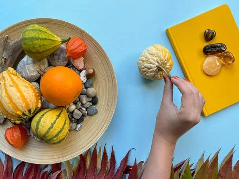 Autumn flat lay composition with decorative pumpkins and leaves Stock-Fotos