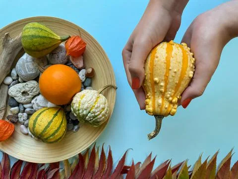 Autumn flat lay composition with decorative pumpkins Stock-Fotos