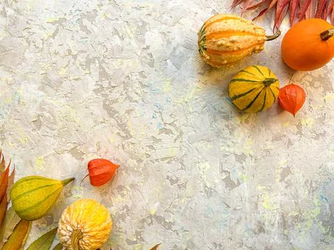 Autumn flat lay composition with decorative pumpkins Stock-Fotos