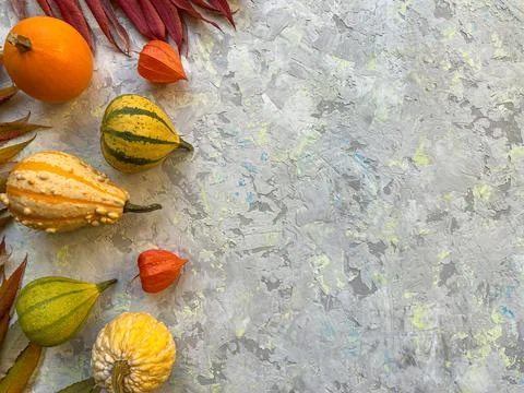 Autumn flat lay composition with decorative pumpkins Stock Photos