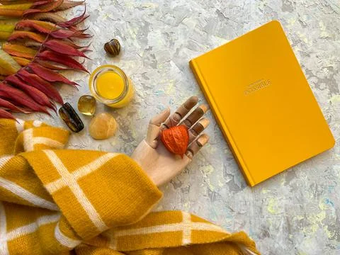 Autumn flat lay composition dry leaves, wooden holding hand and notebook Stock-Fotos