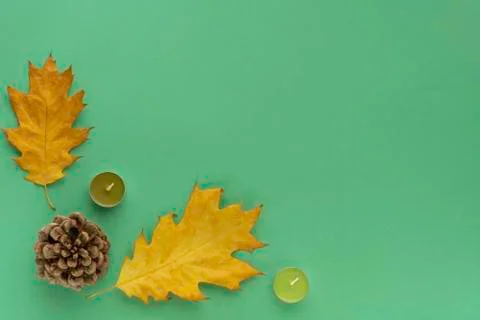 Autumn flat lay composition. Frame from bump, bark of tree, candles on green  Stock Photos