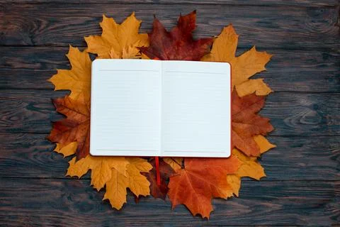 Autumn flat lay composition. open notebook and autumn leaves. Stock Photos