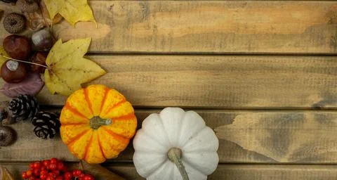 Autumn flat lay composition with small pumpkins, maple leaves, pinecones, c.. Stock Photos