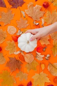 Autumn flat lay composition with white pumpkin Fotos de archivo