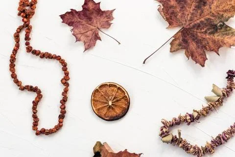 Autumn flat lay, creative arrangement. Dry fall leaves, rowan beads, orange. Stock Photos