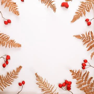 Autumn flat lay frame with dry fern leaves and red hawthorn berries on white Foto stock