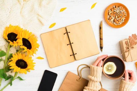 Autumn flat lay with notebook, tea with female hands, phone, nuts, gift on table 스톡 사진