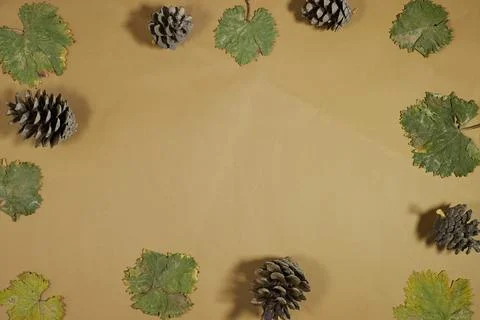 Autumn Flat Lay With Pinecones And Green Leaves Framing A Warm Brown Background Stock Photos