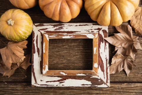 Autumn flat lay with pumpkins Stock Photos