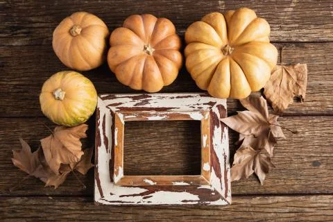 Autumn flat lay with pumpkins Stock Photos