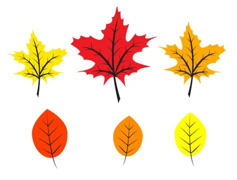 Autumn flat leaves Stock Illustration