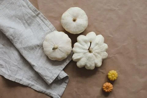 Autumn flatlay with pumpkins and squashes top view, copy space. Fall, Halloween Stock Photos