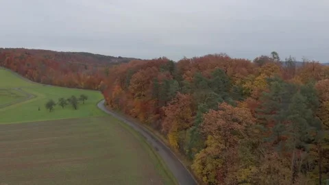 Autumn flight above the field Stock Footage 200229694