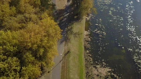 Autumn flight up park Video stock 98096927