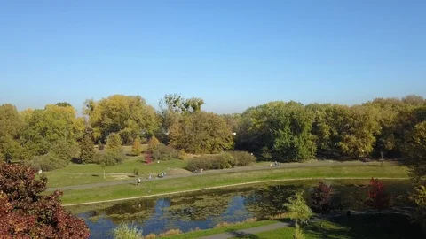 Autumn flight up park Video stock 98097009