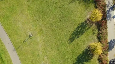 Autumn flight up park Video stock 98097863
