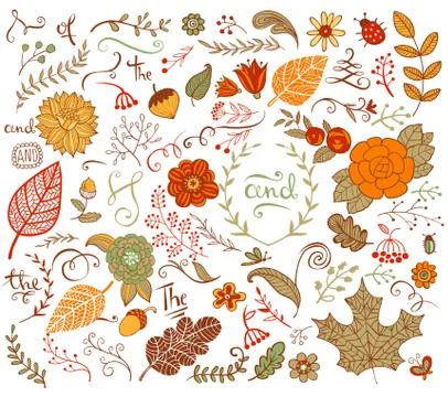 Autumn floral design elements in doodle style Illustrazione stock