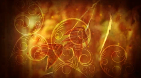 Autumn Flourish Stock Footage 50754291